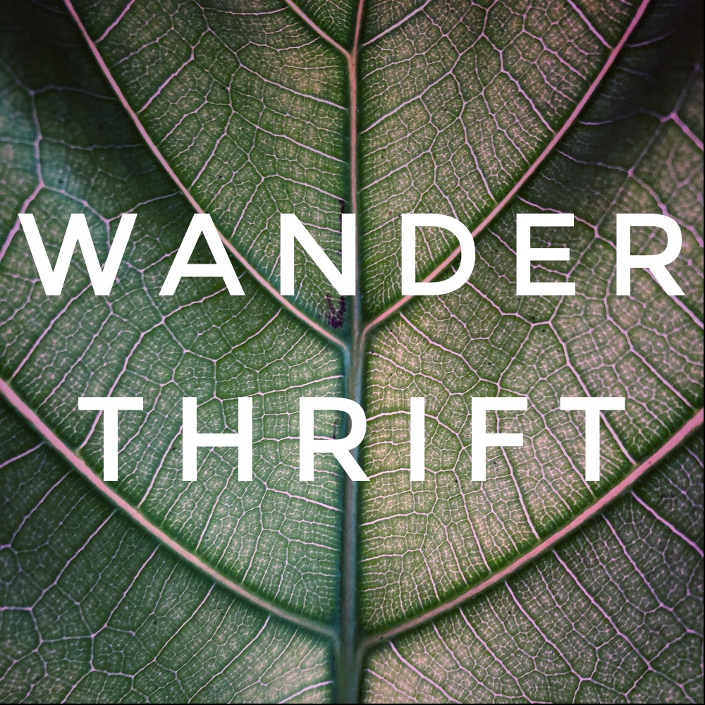 Meet your Posher, WanderThrift
